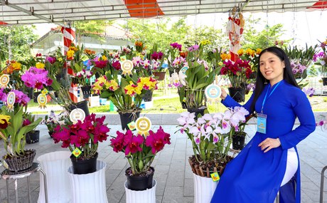 Hội thi quy tụ hơn 600 tác phẩm đến từ 52 câu lạc bộ hoa lan ở khắp các tỉnh, thành phố cả nước.