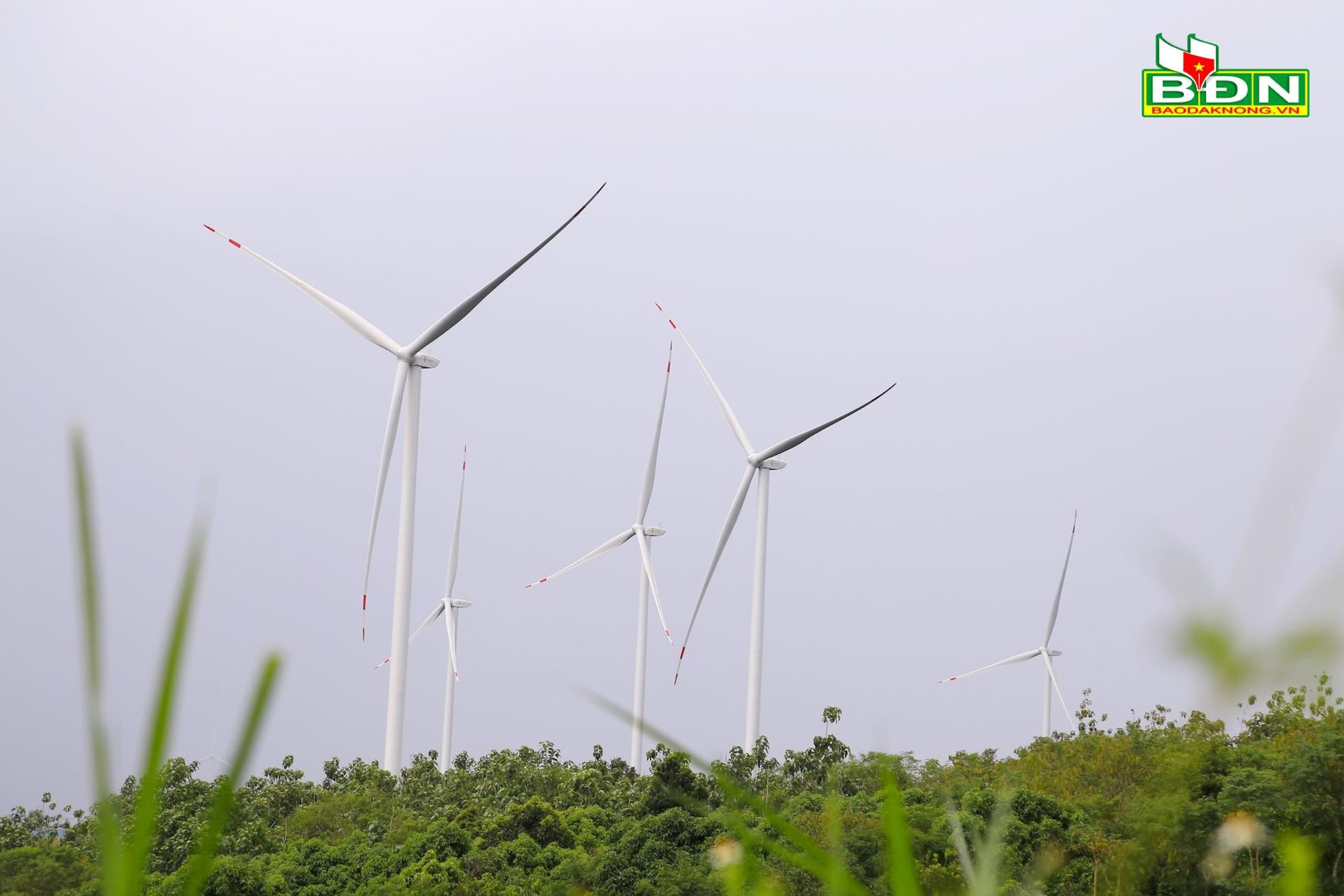 Điện gió đang cung cấp sản lượng chiếm 6,98% tổng sản lượng điện cung cấp ở Đắk Nông