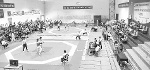 Sàn đấu của những võ sĩ trẻ taekwondo